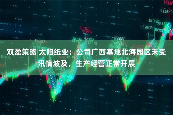 双盈策略 太阳纸业：公司广西基地北海园区未受汛情波及，生产经营正常开展